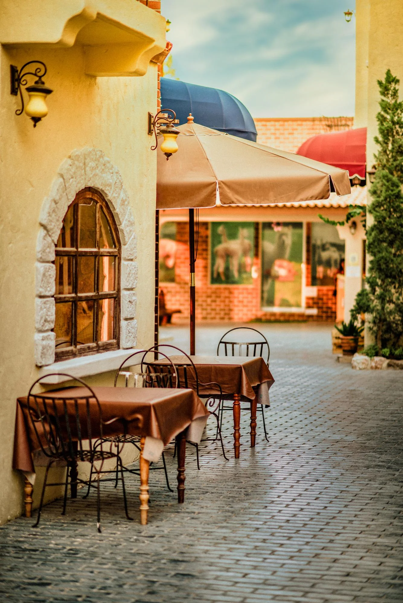 Colorful Hot Air Balloons Soaring in the Sky at Skyfest
